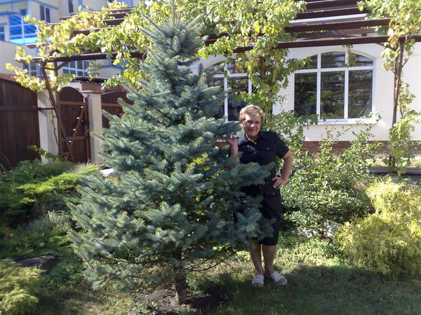 Людмила Ионина