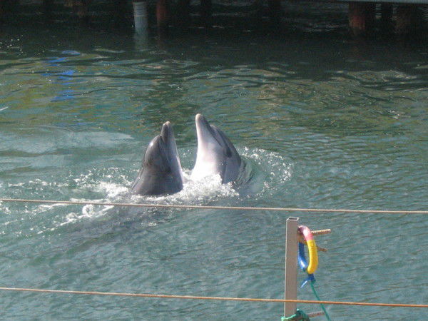 Наталья Семенова