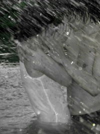 Анастасия Фролова