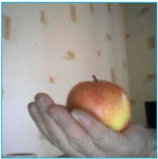 Галина Васина