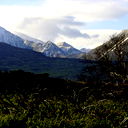 Дмитрий ******