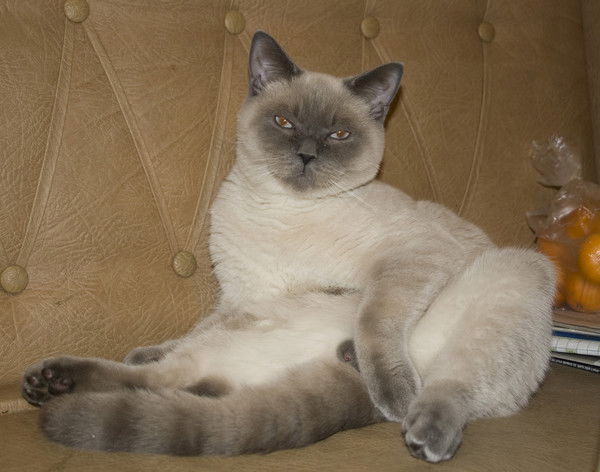 ?????????????? ?????????????????????