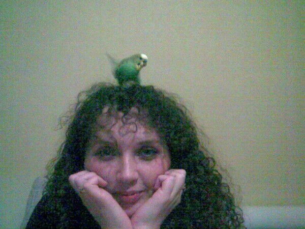 Елена Земцова