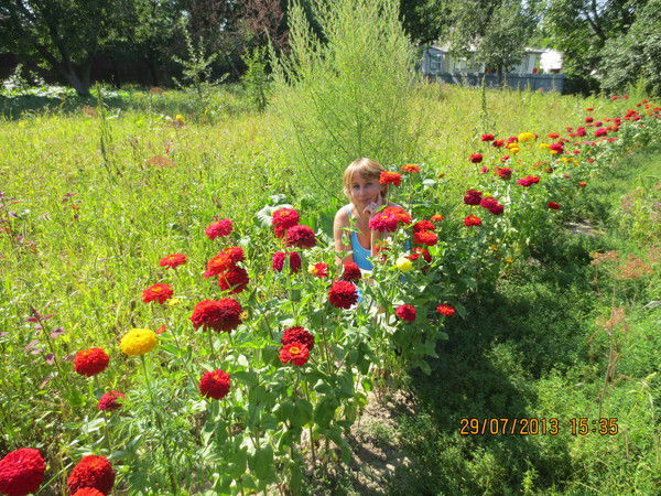 Светлана Мороз