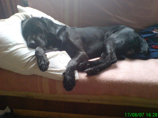 Владимир Сапунов