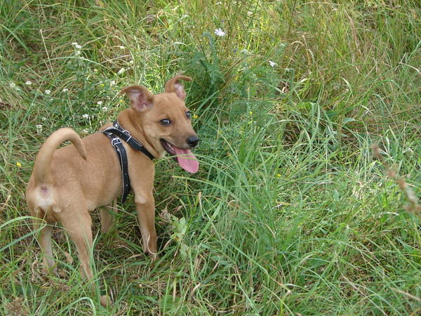 Александр Ткаченко