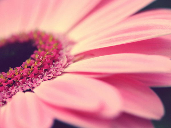 Алёна Лобачёва