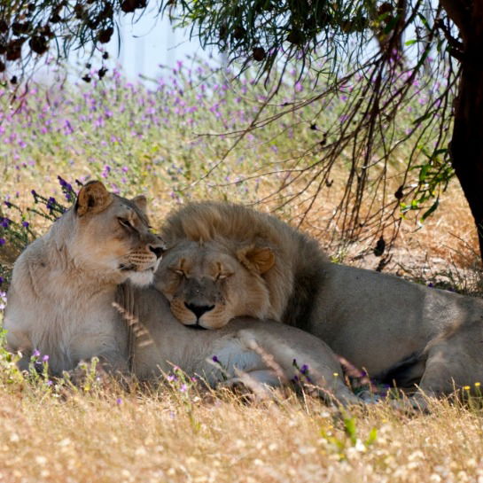 Юрий Остапенко