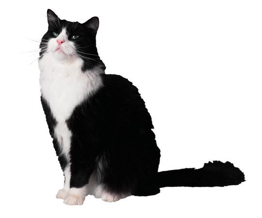 Людмила Чугунова