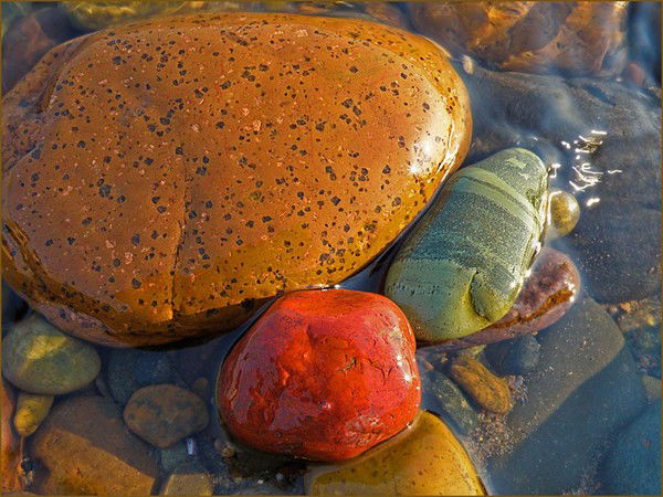 Татьяна Калинка