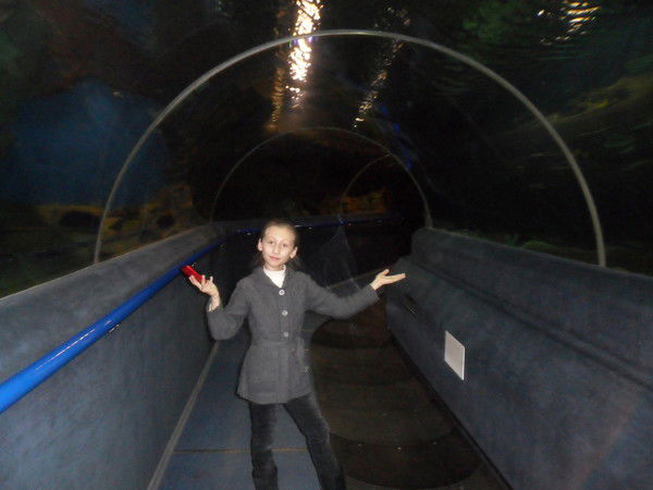 Аима Мухаметжанова