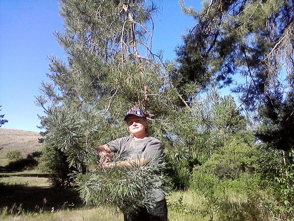 Ирина Слепцова