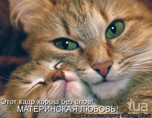 Любовь Тейфс