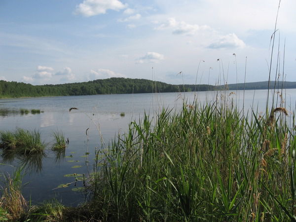 Ольга Вишнякова