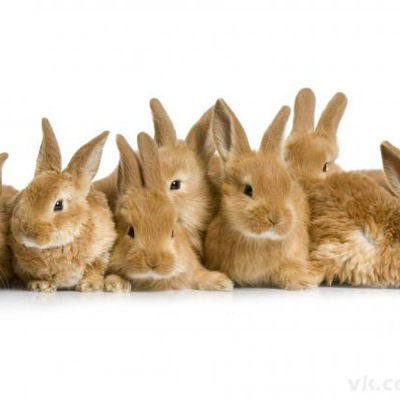 Иван Романовский