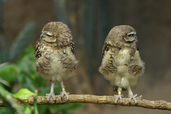 М Ф Оао "жтк" М-Ф Оао "жтк"