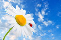 Инна Клюшова