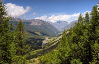 Ооо Арована