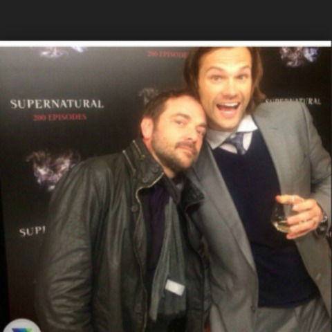 Екатерина Булгакова