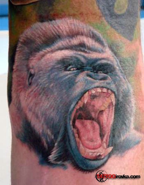 Вадим Фещенко