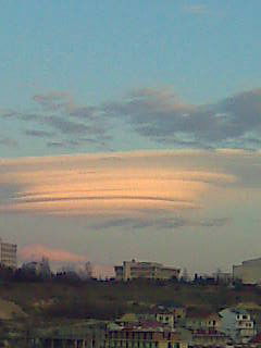 Елена Елена