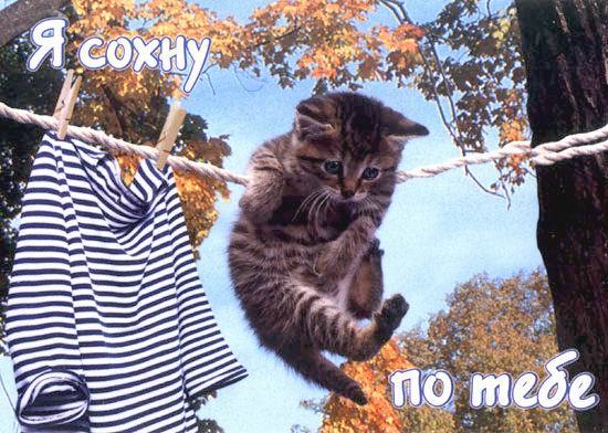 Игорь Яковлев