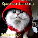 Наталья Резникова