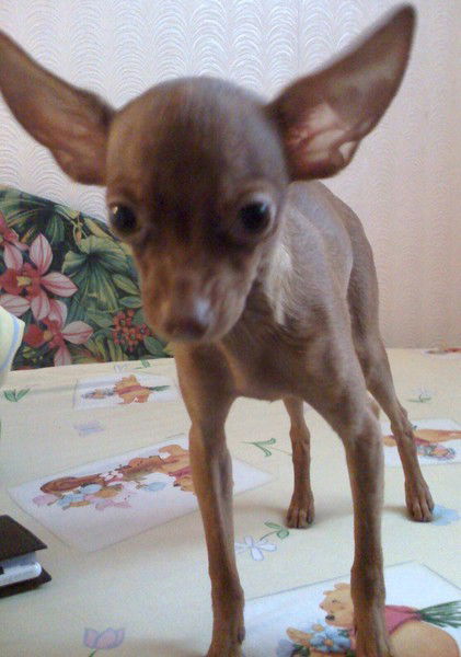 Сергей Архипенко