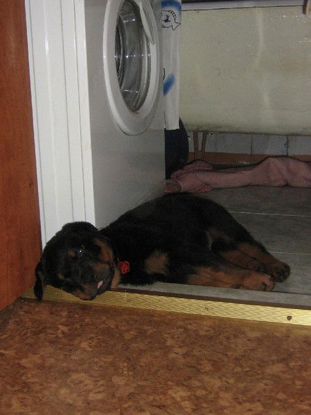 Олег Астраханцев