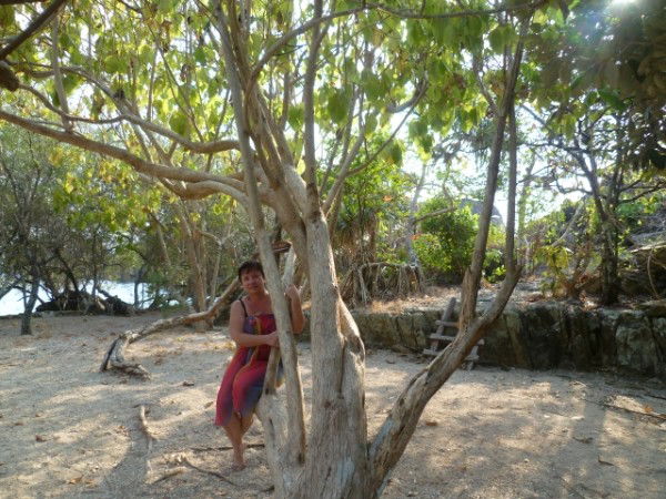 Наталья Старцева