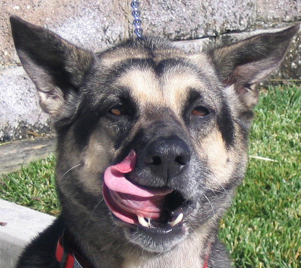 Коля Вырмаскин