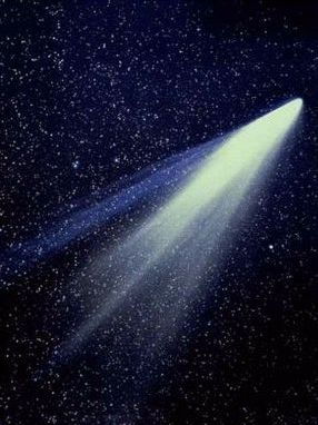 Саша Петров