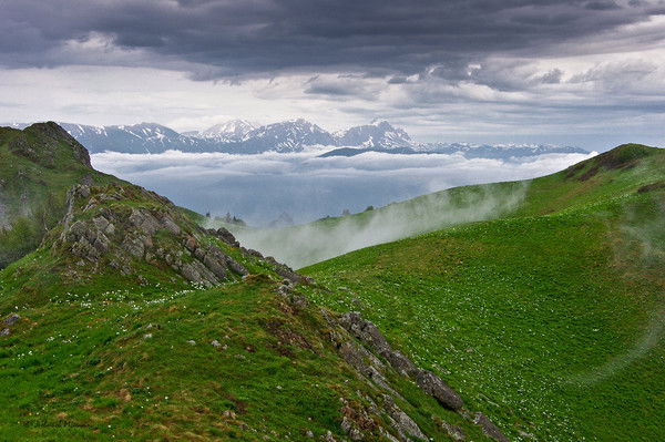 Надежда Истомина