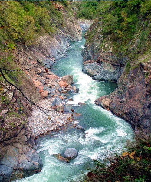 Роза Каспарян