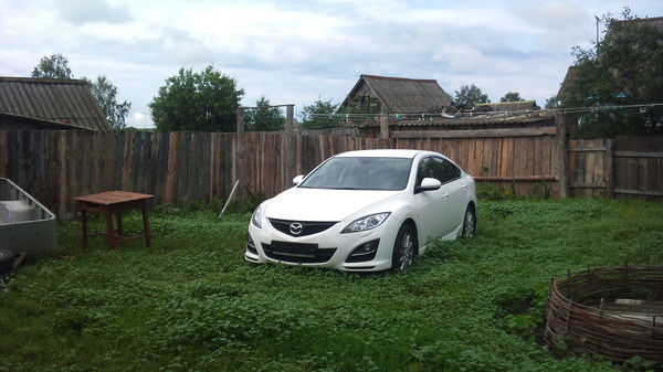 Алексей Шульга