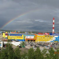 Татьяна Шейкина