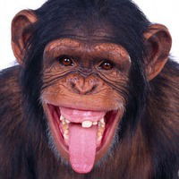 Жжоорик Трутнев