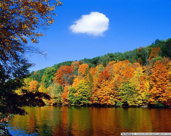 Татьяна Рунова