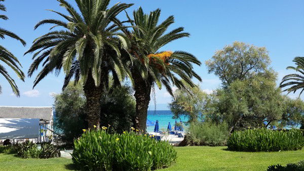 Ирина Тагильцева