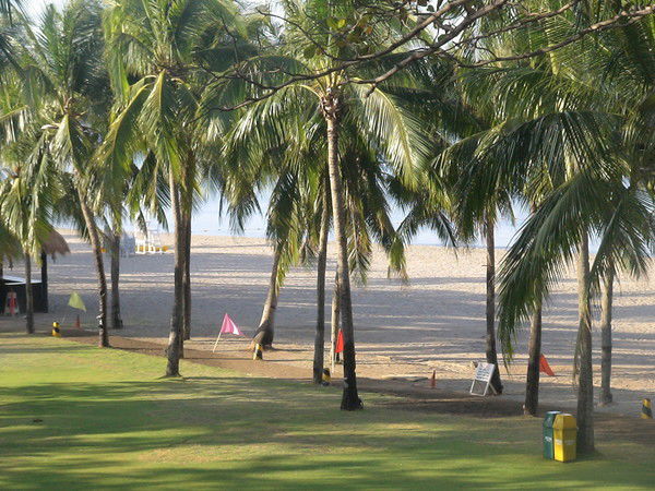 Никита Кулаков