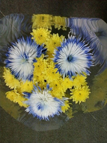 Наталья Потемкина