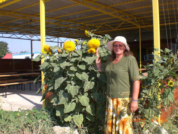 Антонина Альянова