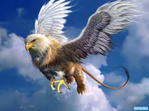 Владимир Плешков