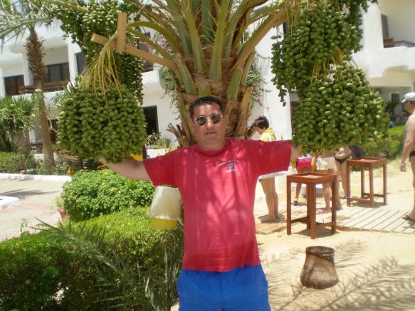 Дмитрий Любавин