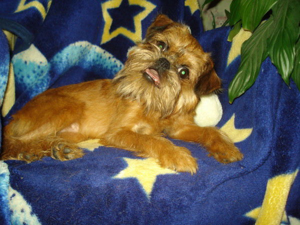 Галина Перфильева