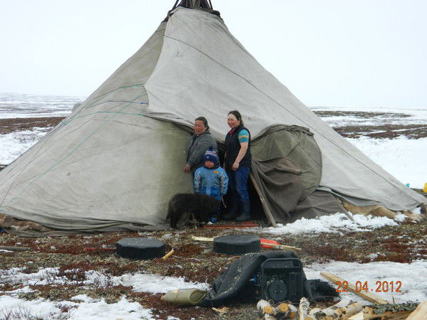 Союз Оленеводов Ненецкого Автономного Ок