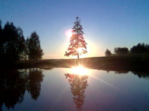 Андрей Быстров