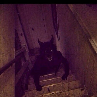 Назар Байрамов