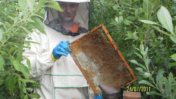 Павел Журавлёв