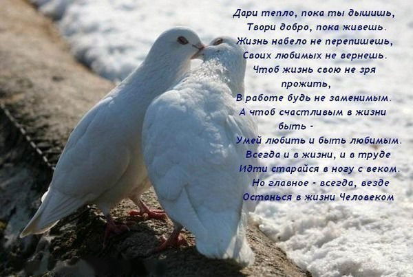 Дима И Аля Жуковы